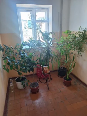 Продажа 2х кв АББО,6/6 р-н Поликлиники,цена 36т $