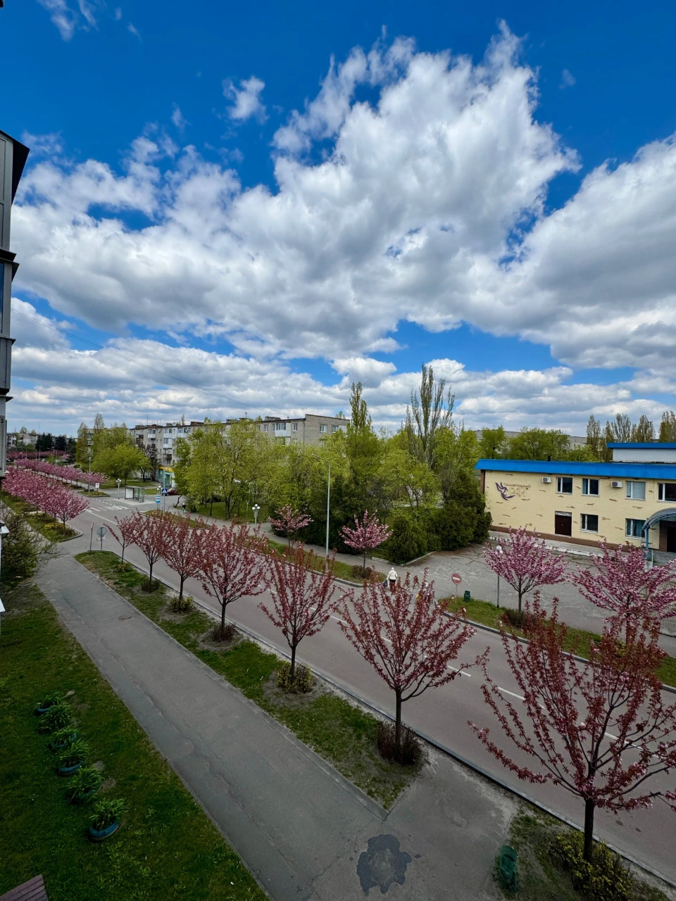 Продам 3 кімнатну квартиру в цегляному будинку