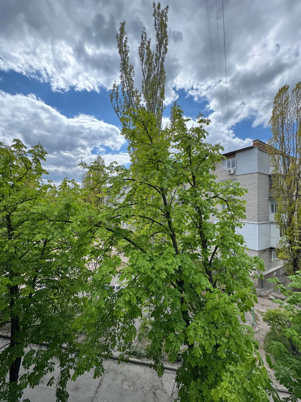 Продам 3 кімнатну квартиру в цегляному будинку