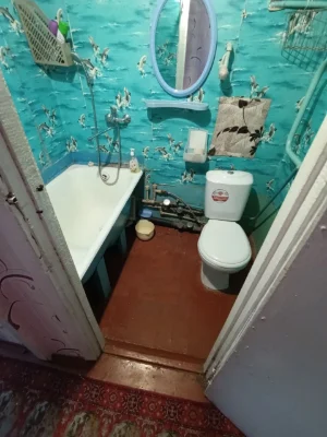 1 bedroom apartment in the center