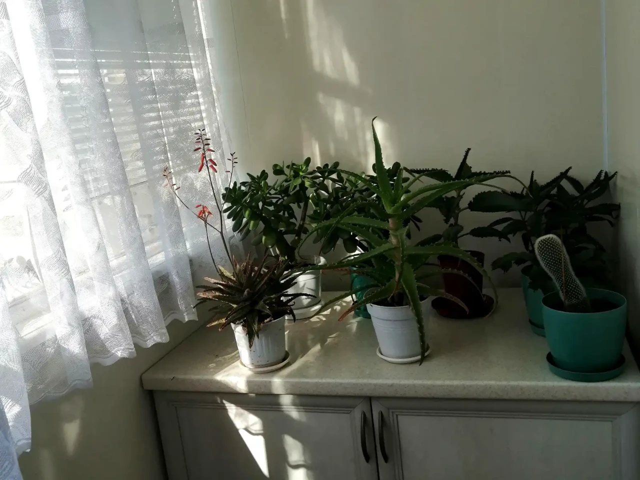 Продаж квартири 2-кімн. 50 м² 4/9 пов.