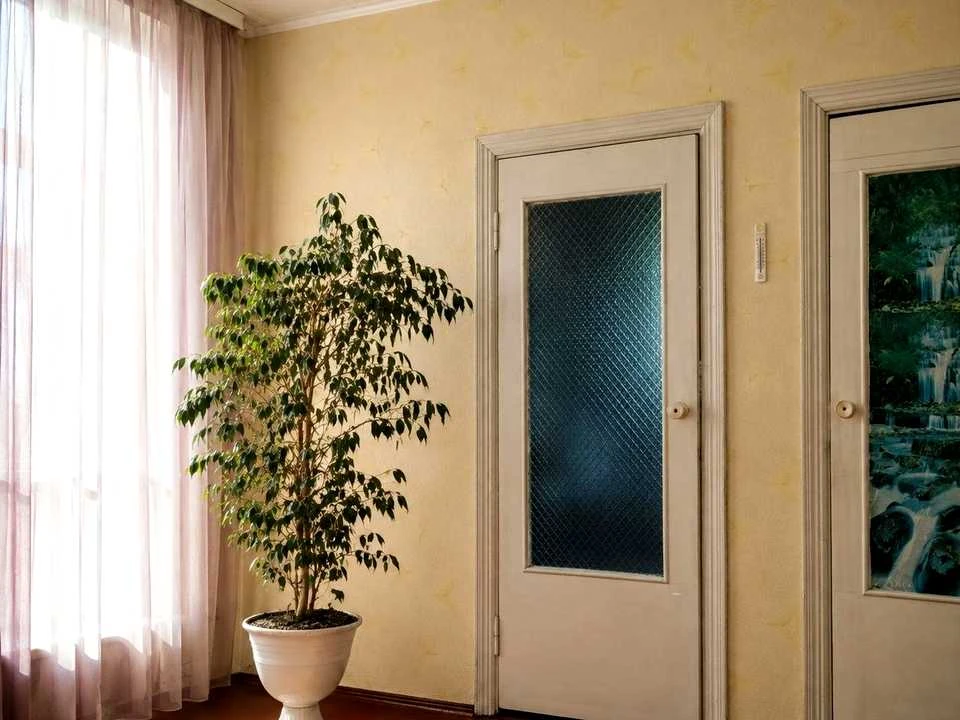 Apartment. Romny, Suburban