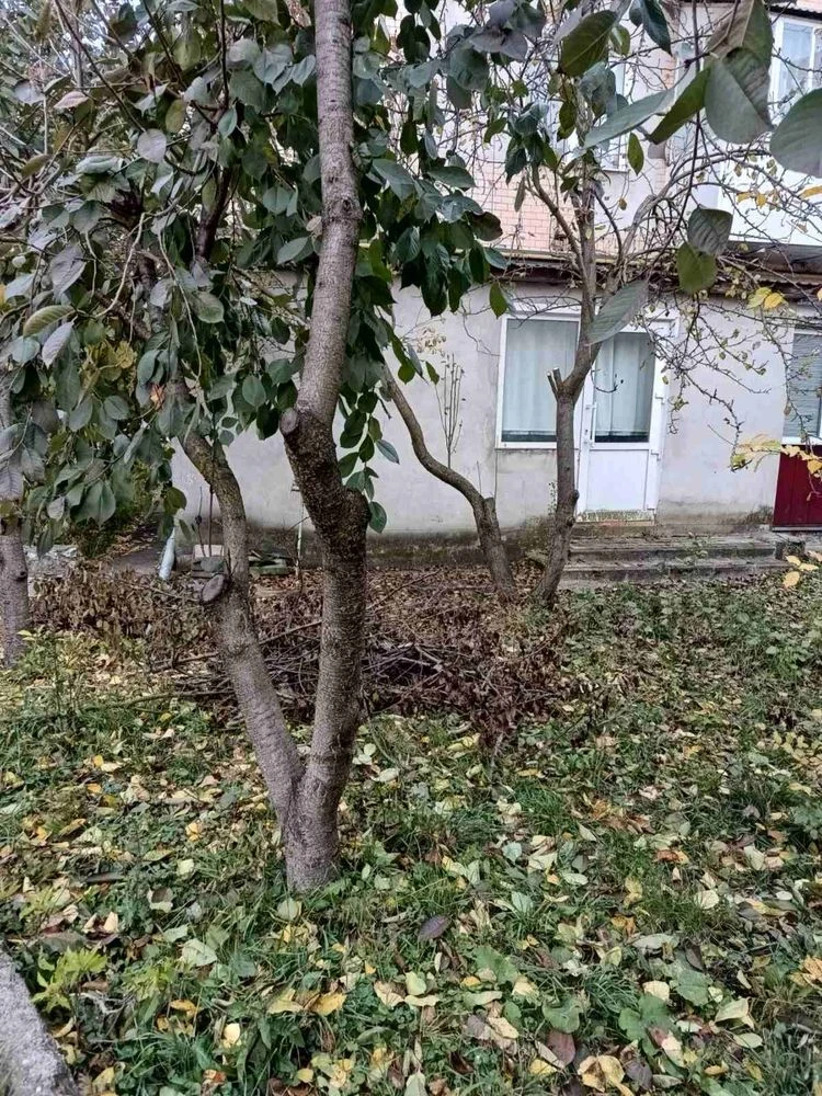 Продается квартира площадью 112 м. кв