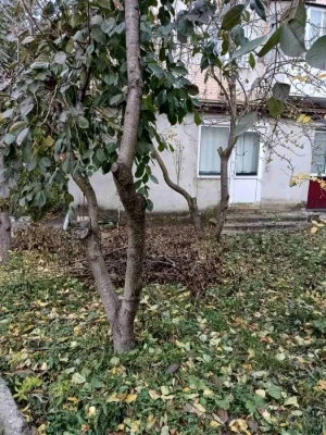 Продается квартира площадью 112 м. кв