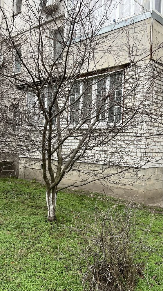 Однокімнатна квартира-студія від власника. Сміла. Тихий цент