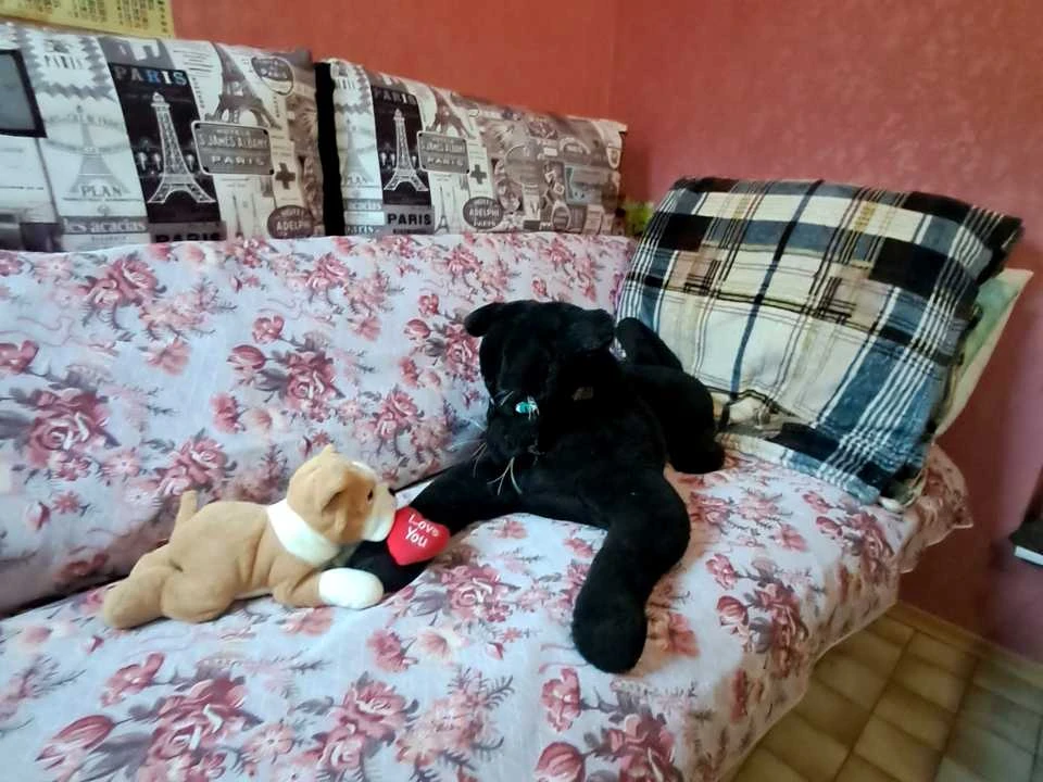 Квартира. Кременчук, Київська вул.