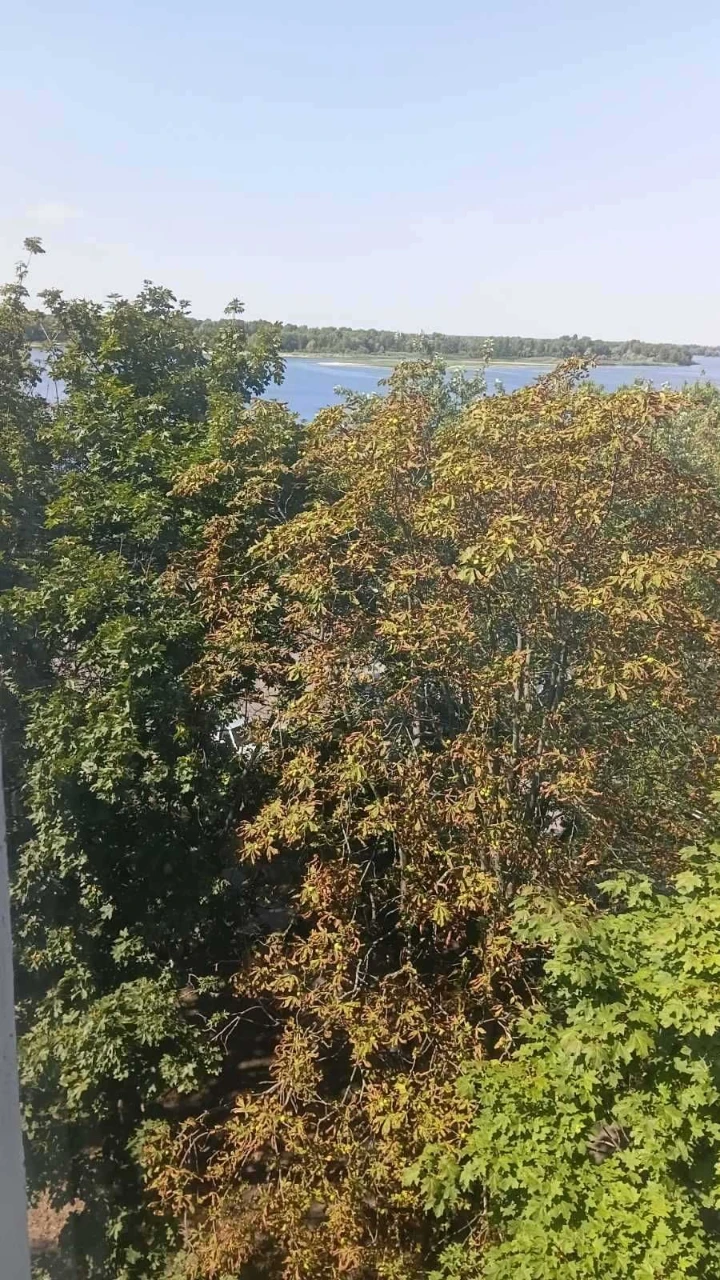 For sale, 2-bedroom apartment in the center of Kremenchuk