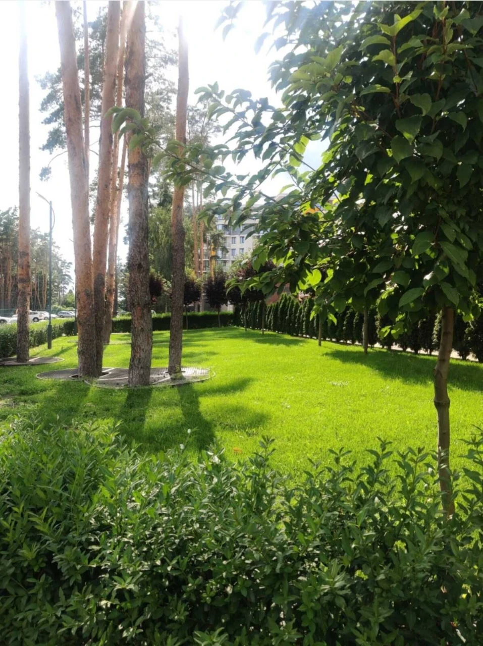 Apartment for Sale in Bucha