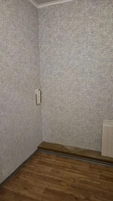 Sale of a one-bedroom apartment with renovation in Buchi