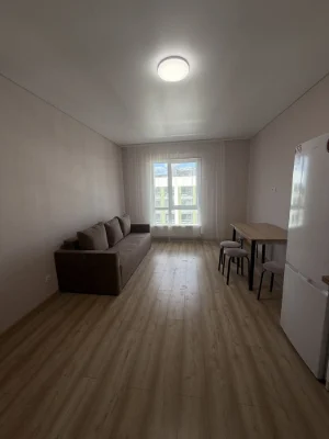One-bedroom apartment renovated in Royal Park Residence