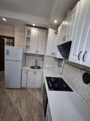 One-bedroom apartment renovated with independent gas heating