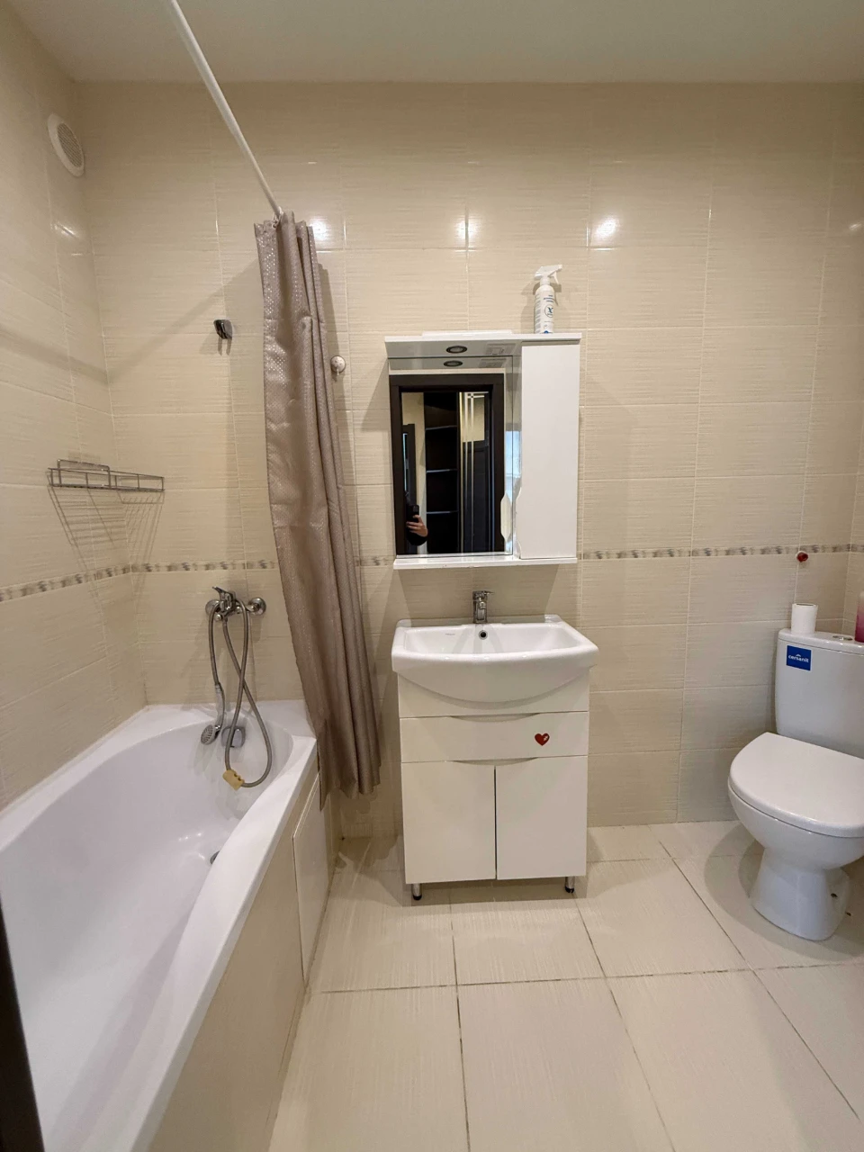 Apartment in Bucha, convenient location, modern renovation. Everything remains