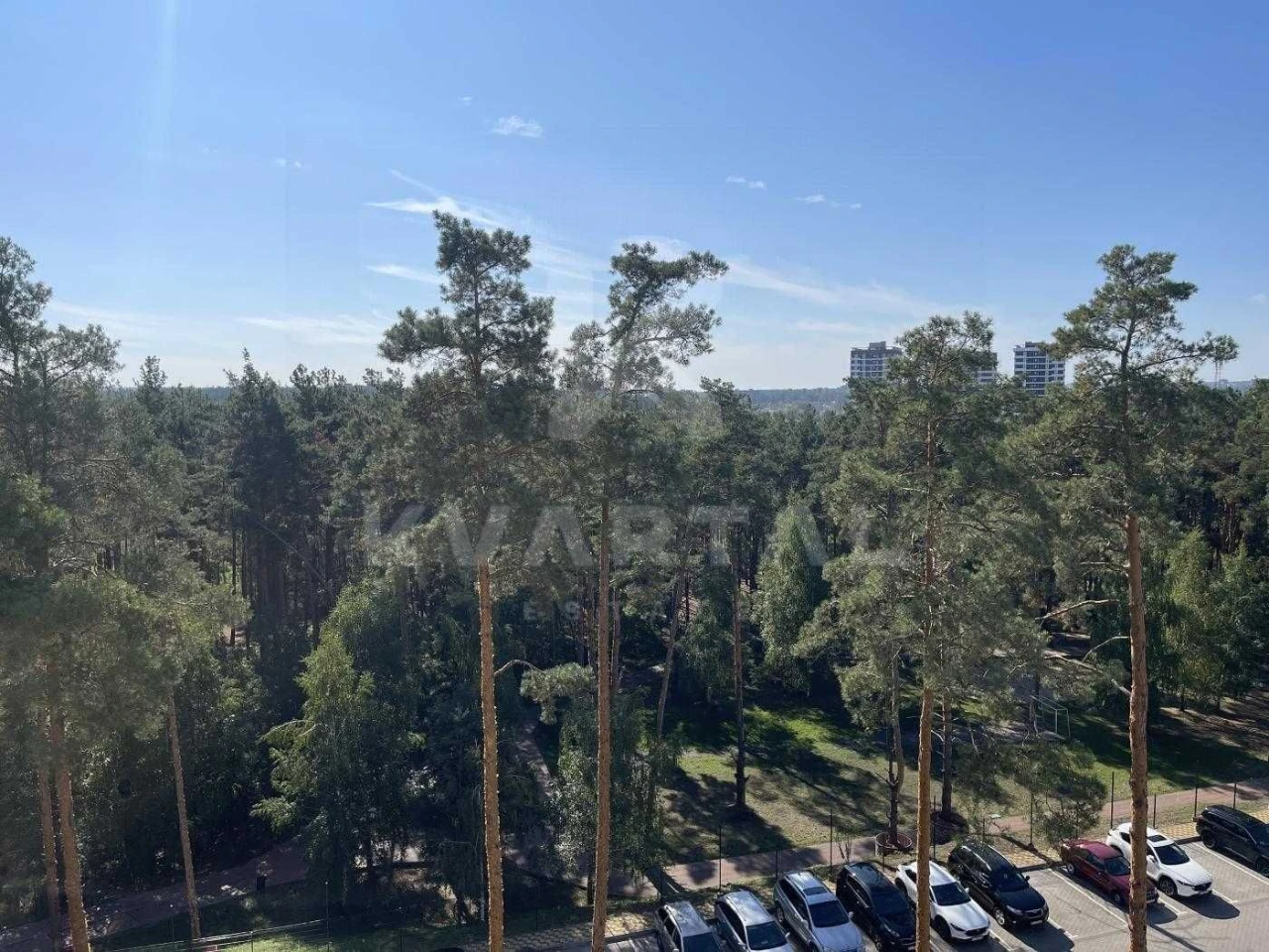 Apartment with forest view, renovated, Bucha, minimal furnishings