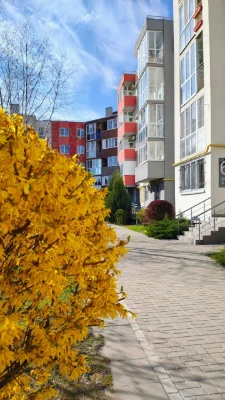 2-комнатная квартира 43,2 м² в ЖК «Нова Буча» — 1 этаж, газ