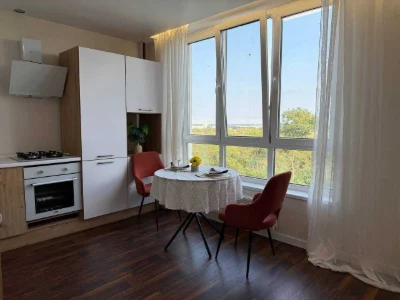 One-bedroom apartment with new renovation in Bucha city