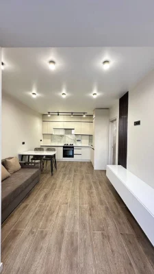 No commission. Large 1-bedroom apartment with new renovation.