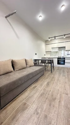 No commission. Large 1-bedroom apartment with new renovation.
