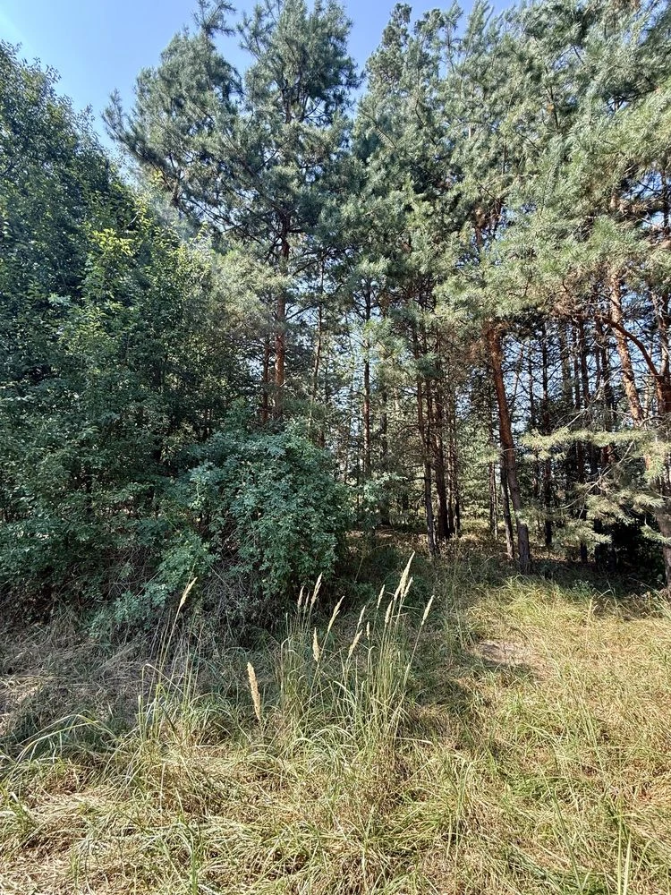 Apartment-country house near Bucha