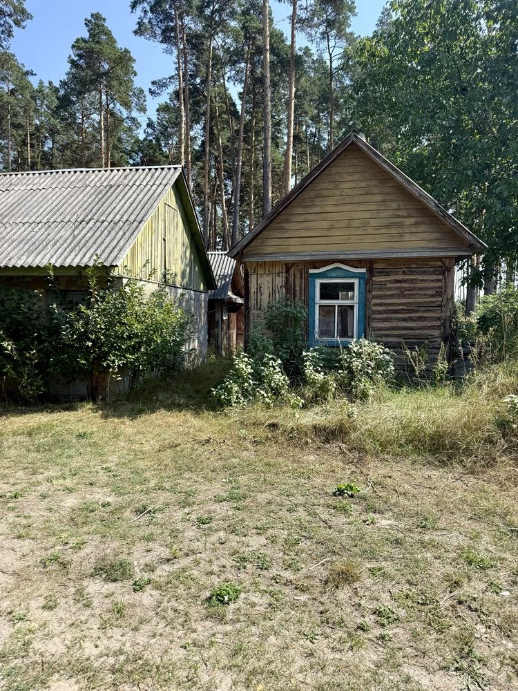 Apartment-country house near Bucha