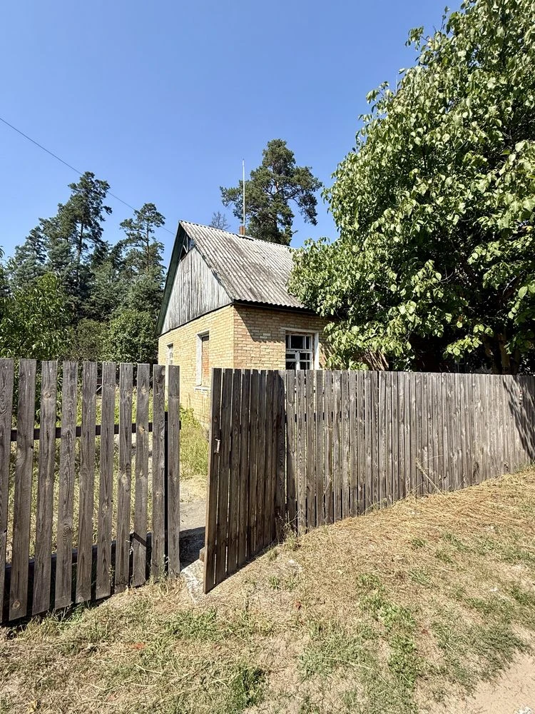 Apartment-country house near Bucha