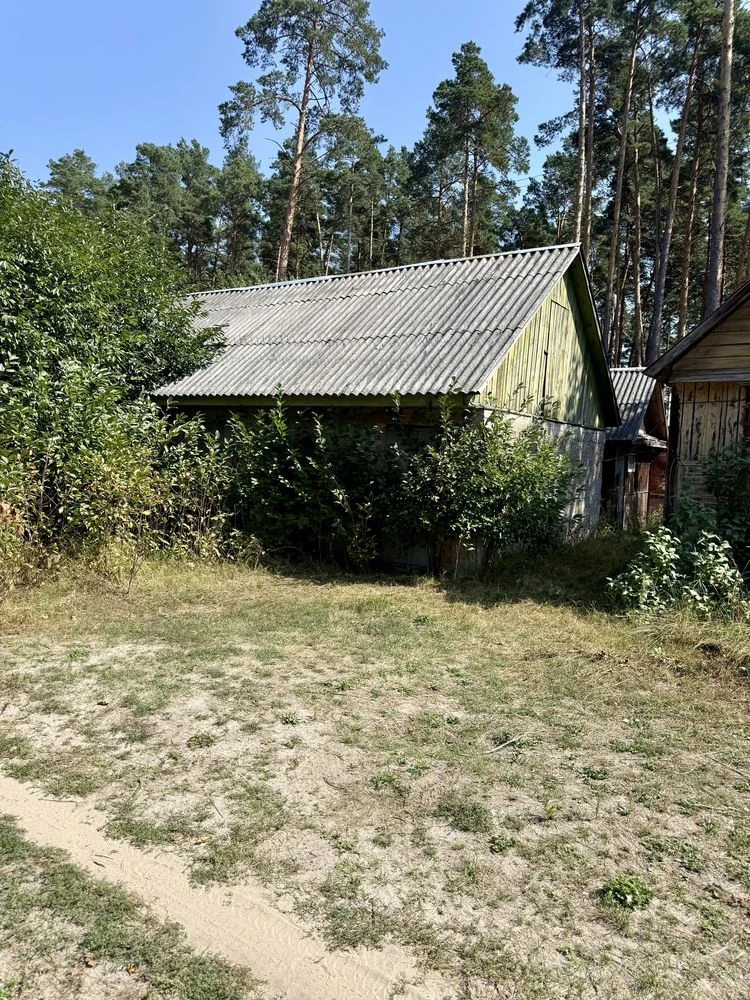 Apartment-country house near Bucha