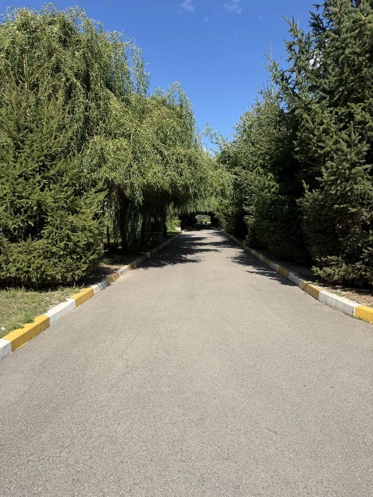 For Sale 1 Bedroom Apartment - NO COMMISSION! AMAZING PRICE!