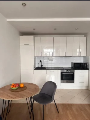 Apartment 45m2, good condition, minimal finishing, near El