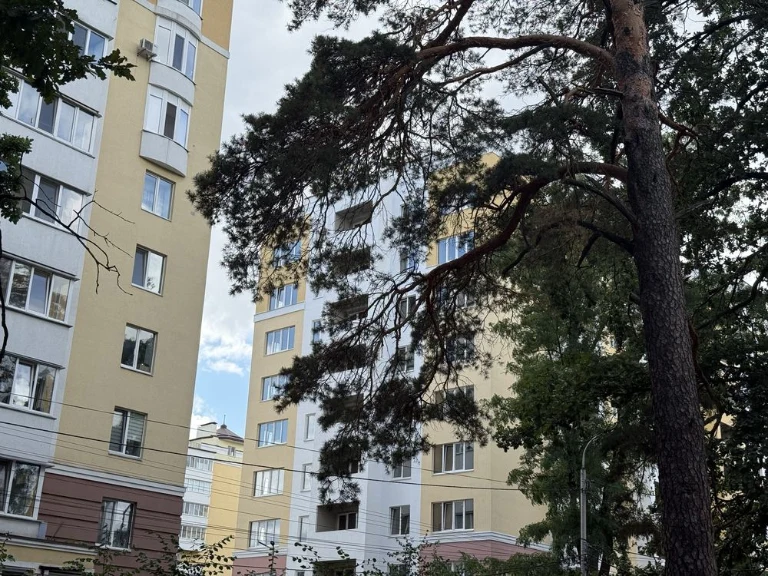 One-bedroom apartment, 46 sq meters