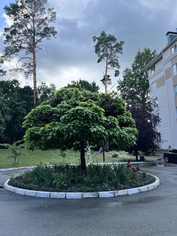 Продажа 1-комнатной квартиры с мебелью и техникой в Буче