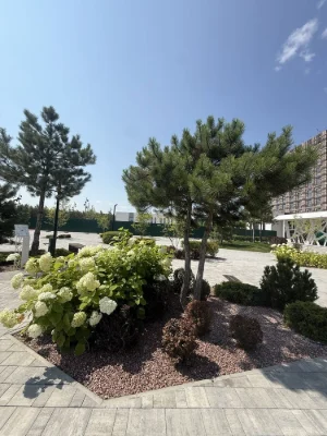 Apartment with renovation in Buchi, Park Royal residential complex. Price $64,000.