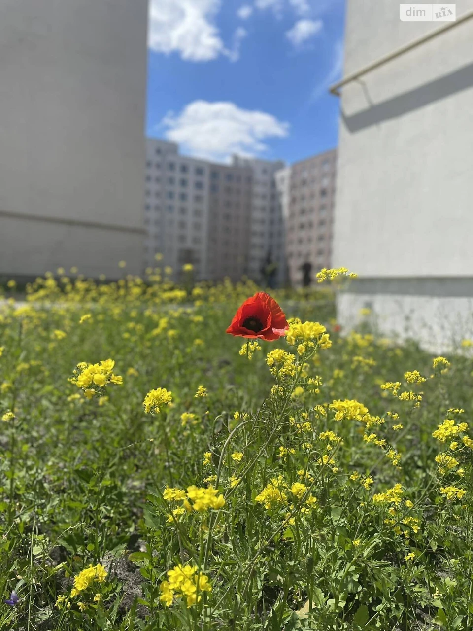 Продаж Квартира