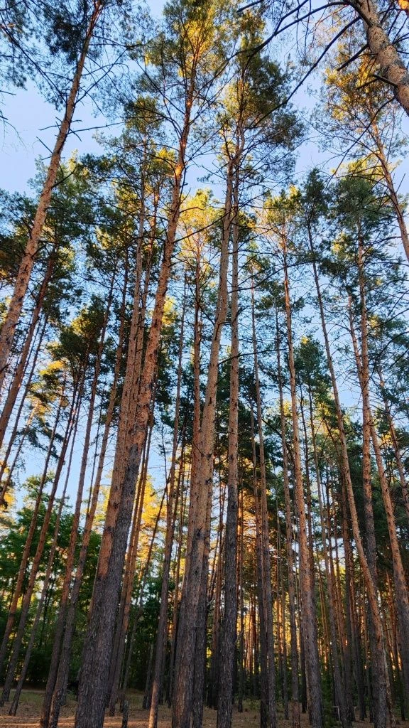 Продаж видової 1к квартири м. Ірпінь вул. Гостомельське шосс