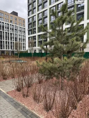 Продажа Квартиры в Буче