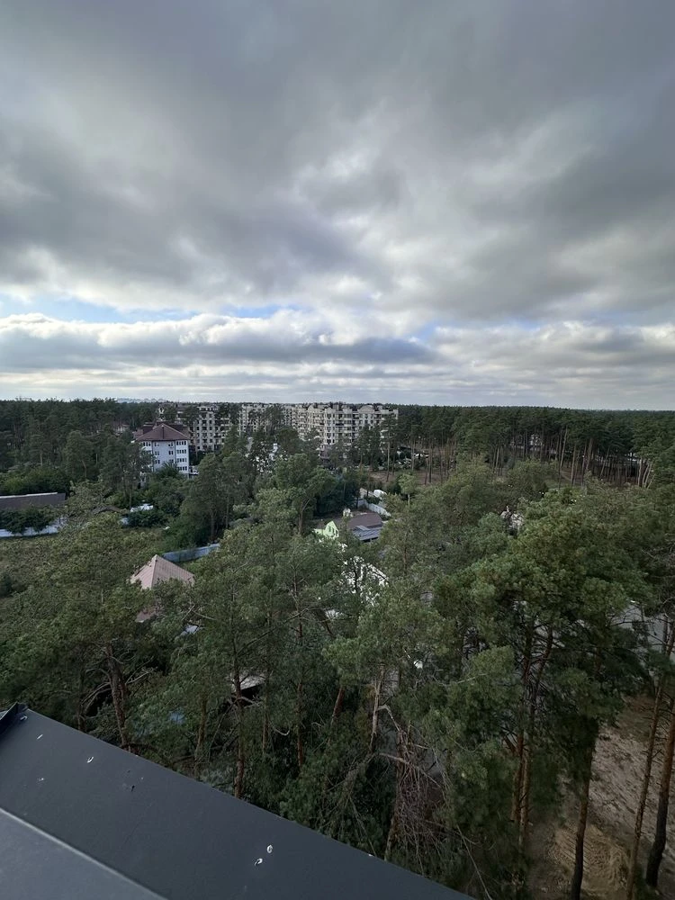 Penthouse with terrace and pine trees view. Individual gas