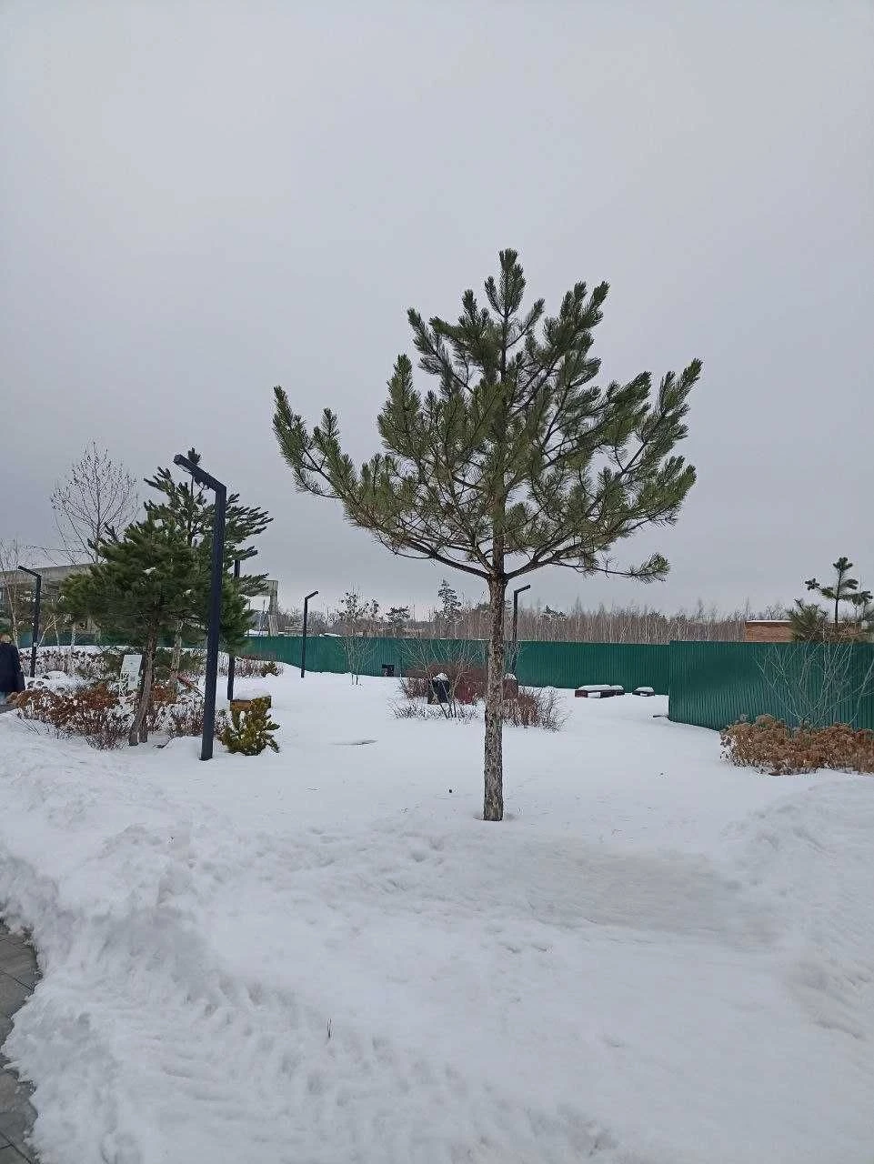 ЖК PARK ROYAL. Престижное жилье в Буче. Газ. Є-оселя