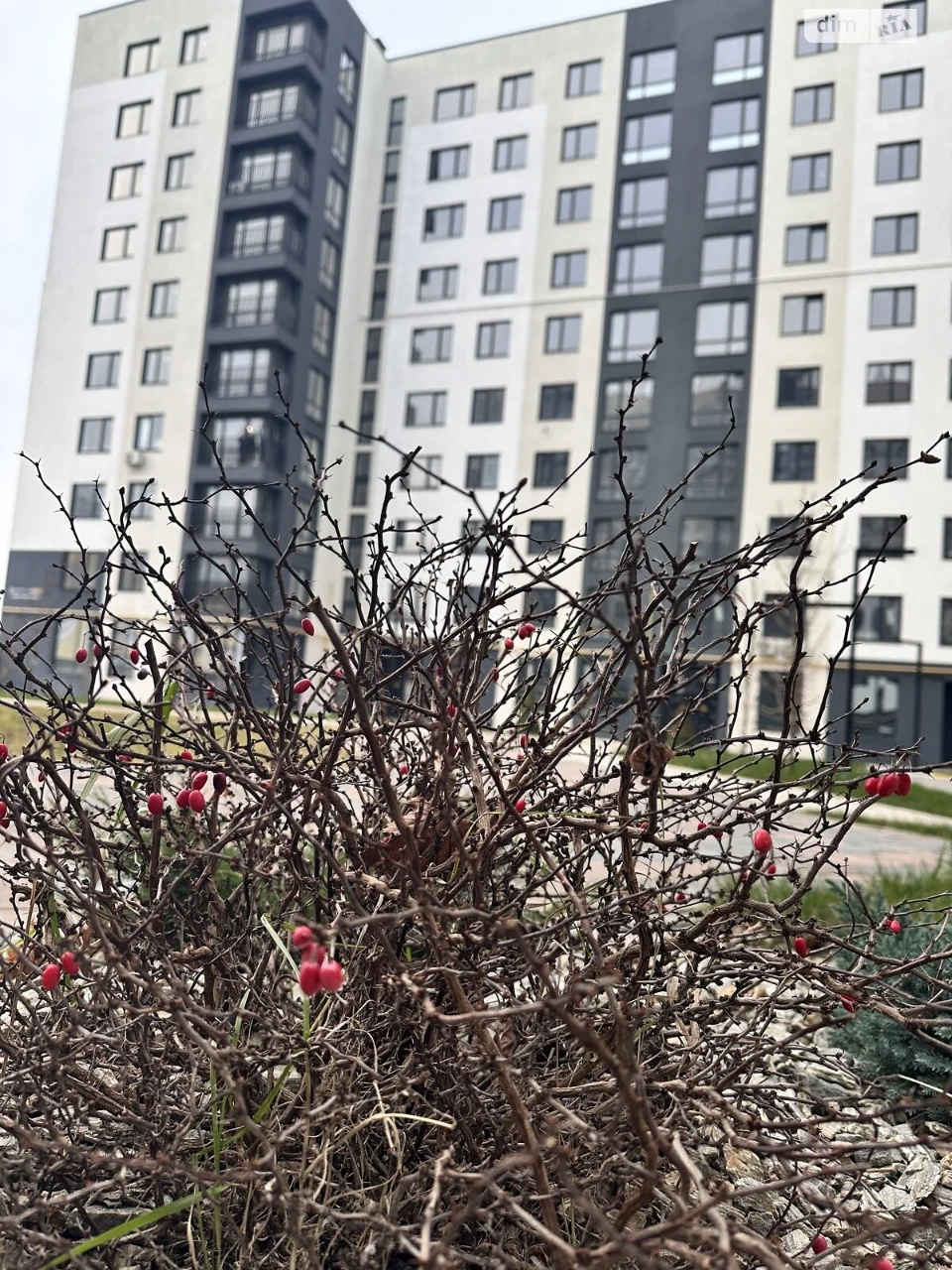 Продажа Квартиры в Буче