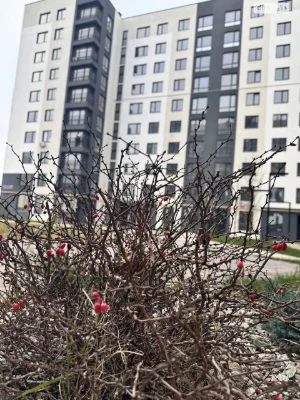 Продажа Квартиры в Буче