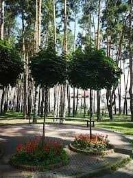 39,3 м.кв. квартира + лоджія з розвиненою інфраструктурою.