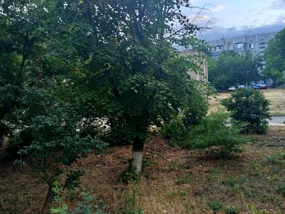 Квартира. Теплодар, піонерна