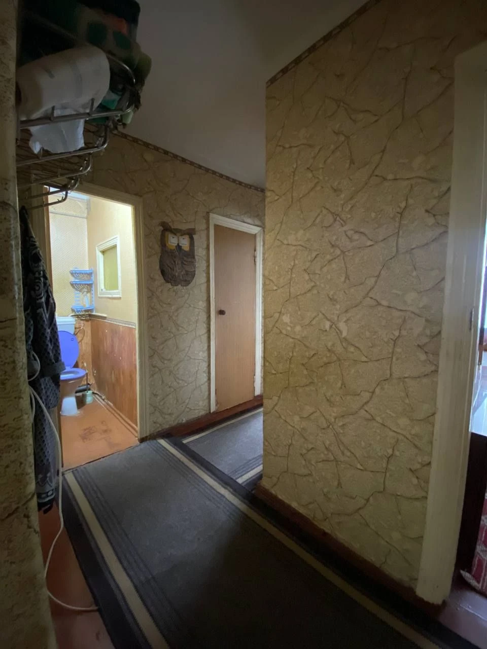 Квартира 4 кімнатна +3 сараї