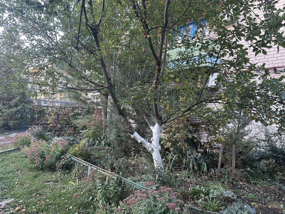 Sale of 2-bedroom apartment | Podhorodne town