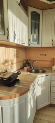 1-bedroom apartment renovated, Sovnova St 7
