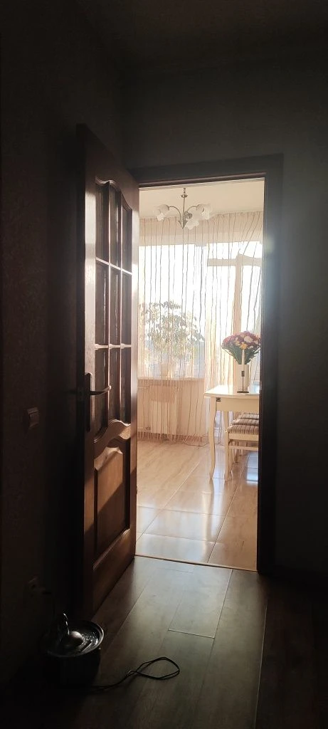 1-bedroom apartment renovated, Sovnova St 7