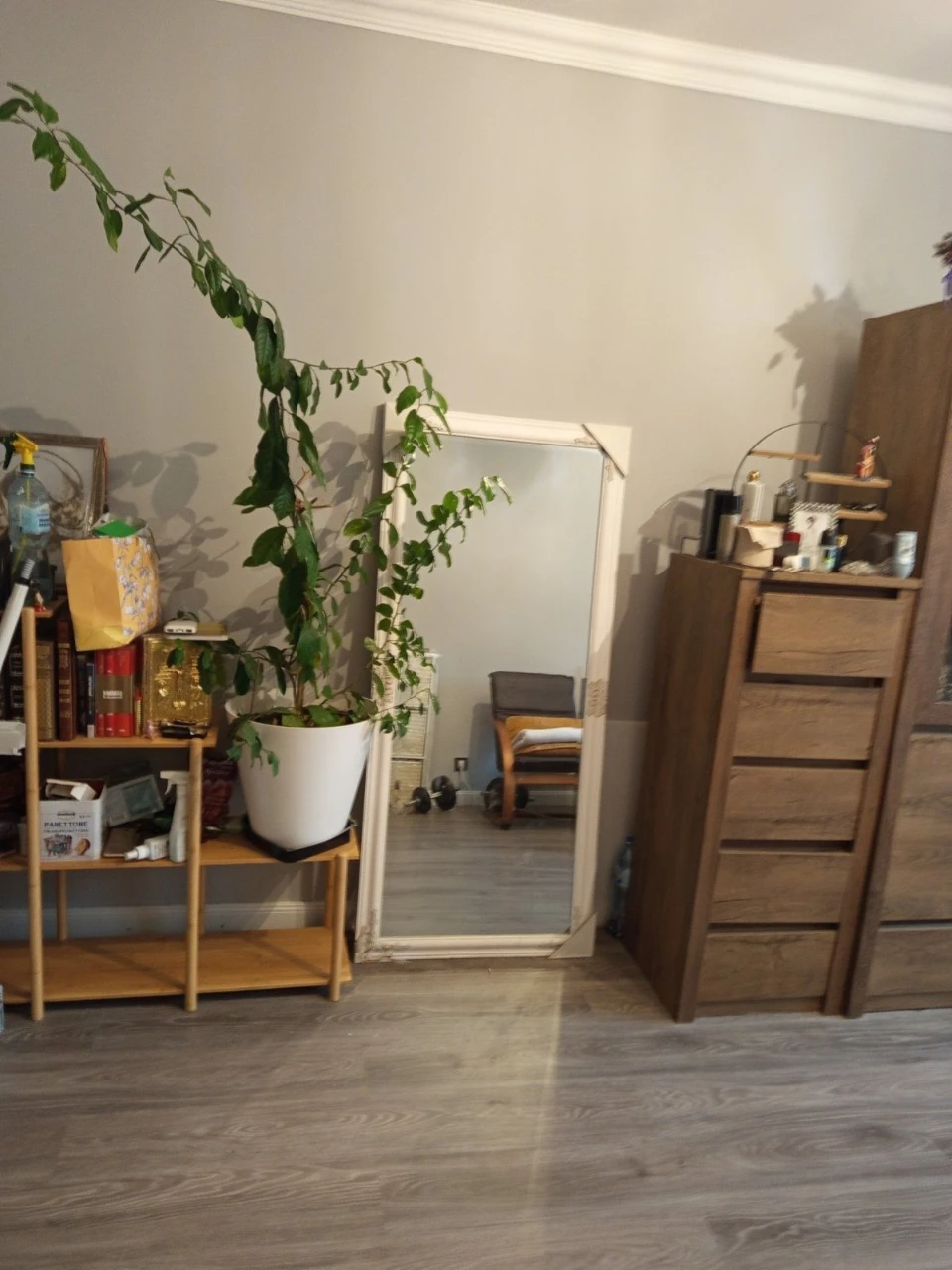 2-bedroom apartment in the city of Ukraine!
