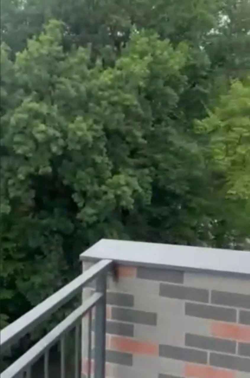 Sale of a 1-room new building in the Auroom Forest residential complex, Vinnytsia city, street.