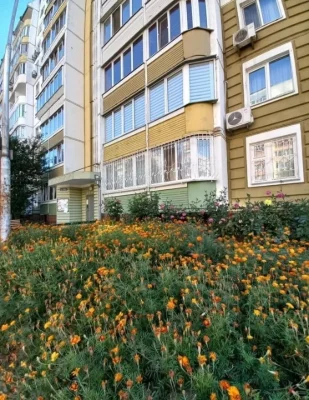 Вигідно Продам 3 кімн.квартиру м. Вишневе нам терміново Вам