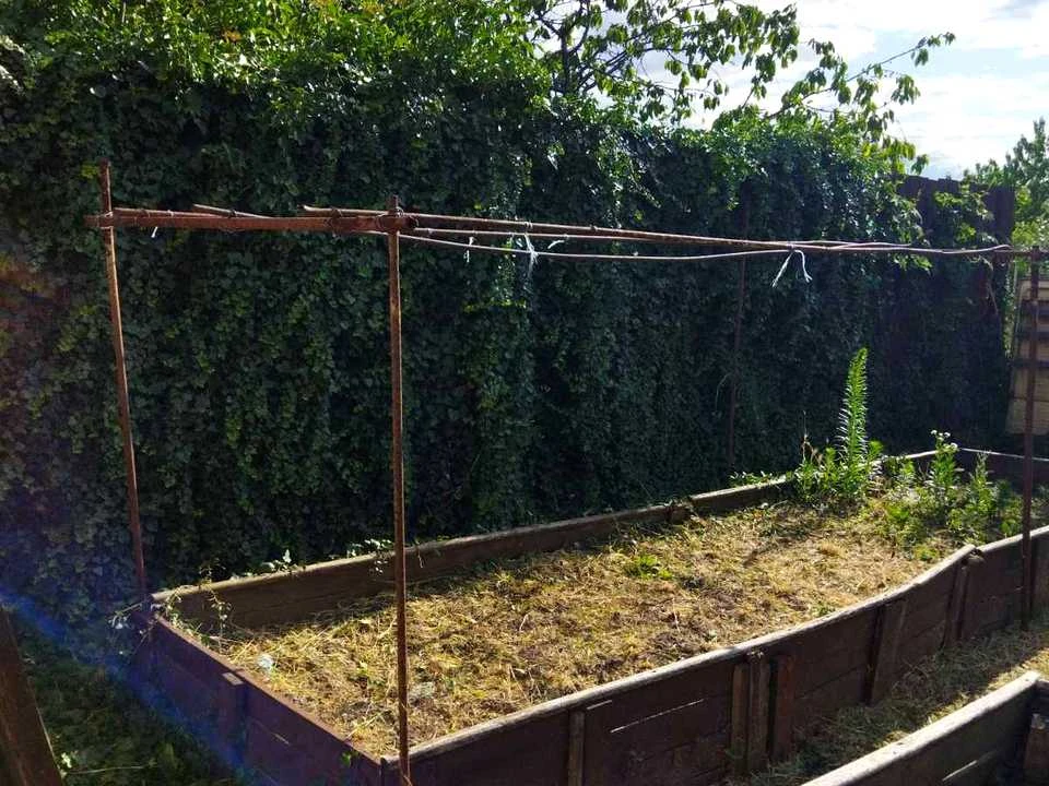 Plot. Zaporizhzhia,