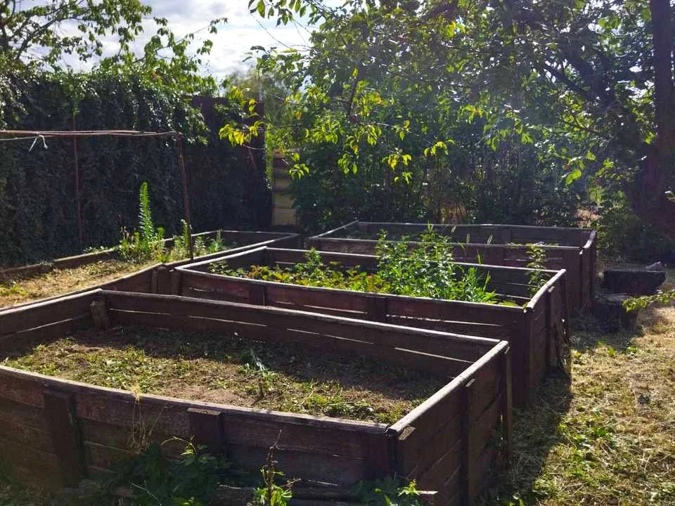 Plot. Zaporizhzhia,