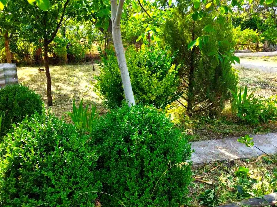 Plot. Zaporizhzhia,