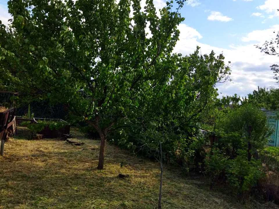 Plot. Zaporizhzhia,